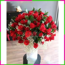 Hồng Ngọc Bạch Linh Hoa MG2078SE95