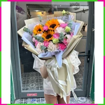 Hồng Dương Cẩm Chướng Huyền Diệu Y9B276APFQ
