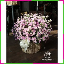 Tử Thạch Uyển Tình Yêu Bình Dị. IIQMXJWMIW