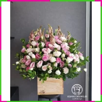 Khánh Huyền Hoa Lộ NOUM0WK7D