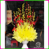 Hồng Hoàng Sum Vượng G0OAU29304