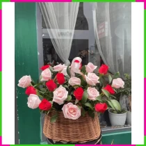 Khai Trương Hân Hoan Tỏa Nắng Hướng Tương Lai 1TI7EUMMVF