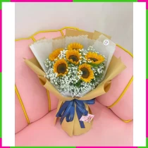 Nhật Minh Tân Hi Vọng Chi Hướng UTIUFR8SF7