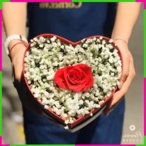 Bạch Ngọc Hồng Tâm H77HR4T