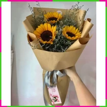 Dương Quang Tỏa Nguyệt W5F2IB14U