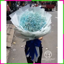 Thanh Xuân Ngọc Lộ JZKK2ZMOKS