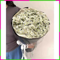 Bạch Thạch Hiện Đại Hương ZRWDFSNSMU