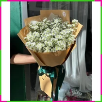 Bạch Thạch Mộng Thanh 47NVJM98JP