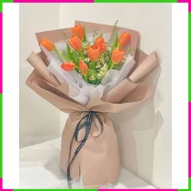Hỏa Phượng Xuân Hân AQU4W8NT37
