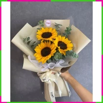 Hướng Dương Quang Hy Vọng GWWJKGXO3H