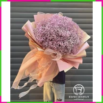 Hồng Ngọc Thơ Ngây 24L08W2X9