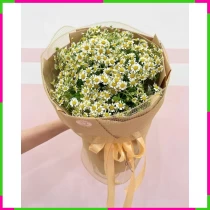 Tiểu Thiên Thần Cúc Tana 2ZPKU5E08Z