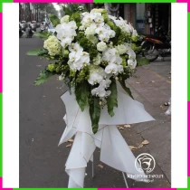Bạch Liên Thuần Khiết CBKNTE2JP