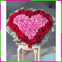 Lãng Hồng Tâm Tuyết 2KBZNWELA