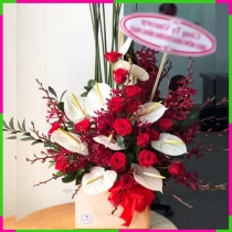 Khởi Nguyên Tinh Hoa Hồng Khúc Xuân Thành Công GFW4ROXE4E