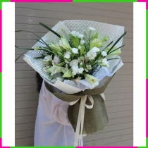Bạch Liên Vĩnh Cửu P4DRR2WIZ