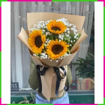 Hướng Dương Tín Ái XM9PGUITNY