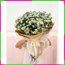 Bạch Ngọc Thạch Thảo Hương S3EDCSL1BG
