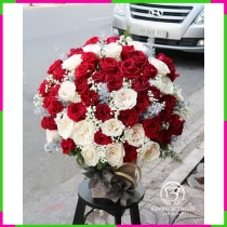 Tuyết Hồng Kiêu Hãnh 97A78WESU5