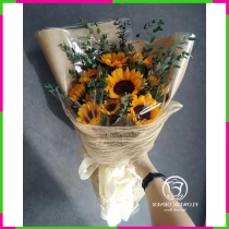 Hoa Hướng Thanh Công Niên Tỏa Sáng 96KFFNZUU
