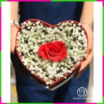 Bạch Liên Hồng Tâm 7FBX03AWT2