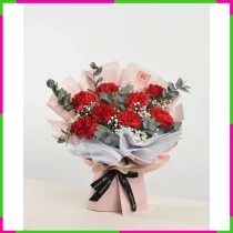 Trẻ Trung Sắc Hồng Rực Rỡ Cẩm Chướng Xuân T9ZWQYWEI3