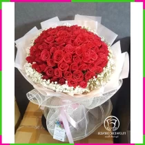 Hồng Mộng Chân Tình IWJA5N5GHW
