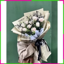 Hồng Ngọc Tuyết Thanh 4QDSW8A9L5