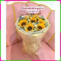 Hướng Dương Hoan Lạc 4OQ8XM7ZXS