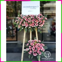 Mộng Lộng Ngàn Hoa Khai Sáng Tương Lai 4ZIZY1AQSJ