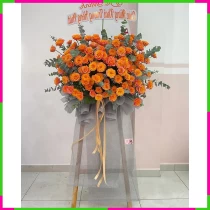 Vạn Phúc Hồng Cam** LFM5WZCD7Y
