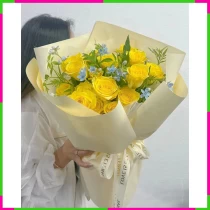 Hoàng Lam Lưu Tuyết D38W2TLADP