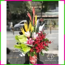 Hoa Vũ Khúc Tình Xuân WPKHWN2WF
