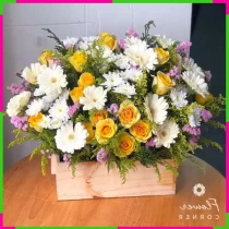 Vững Mãnh Khai Sắc Hữu Huyền Mộng Chí Hương E35729R7HK