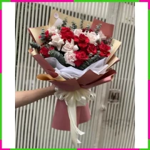 Hồng Vũ Điệp Sắc Ngân Lá Tinh Hoa FFNWOY5XZ9
