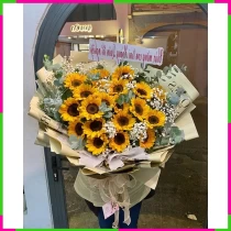 Hoa Dương Quang Tiến Bước Tương Lai CW5WWA0ZBM