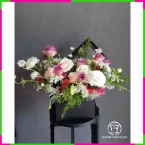 Tử Vân Hương Uyển Lộng Xuân Hộp D3CU87CLTG