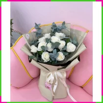Bạch Ngọc Liên Hoa** QQP8B813RP