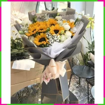 Hạnh Phúc Hướng Dương 594V3P6M51