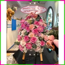 Hương Xuân Lãng Mạn Nguyệt NANF6MTPOW