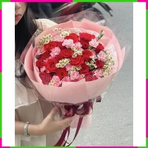 Hồng Nhuệ Tâm An SR118DBNIP