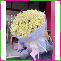 Thanh Tâm Cúc Nguyệt NNH7KLEQ41