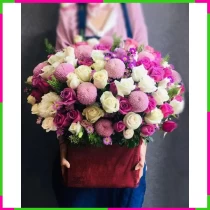 Tử Yến Hỷ Lạc Lan MDFN3PZQ8M